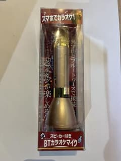 Bluetooth karaoke microphone with speaker (main unit)
