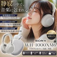 SONY WH-1000XM6 プラチナシルバー 美品 完品 - メルカリ