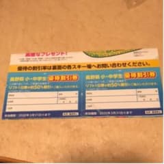 長野県　スキー場　小中学生優待割引券　半額券　2枚のサムネイル