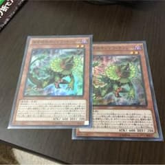 捕食植物サンデウ・キンジー 2枚のサムネイル