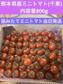 熊本県産ミニトマト(千果)800g - メルカリ