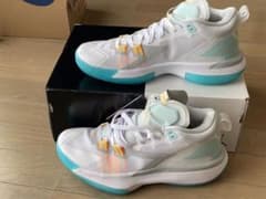 れいん様専用NIKE ZION 1 PF 27.5cm バスケットボールシューズのサムネイル