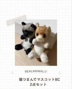 REALANIMAL☆ 猫つまんでマスコット ぬいぐるみ 猫 ⭐️ラスト1点