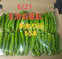 オクラ 60本 訳あり品(生活応援品3点のみ)のサムネイル