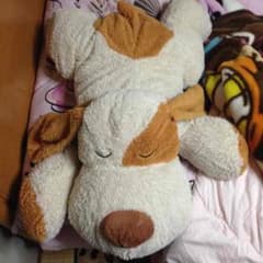【最初値下げ】犬のぬいぐるみのサムネイル