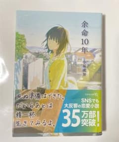 余命10年のサムネイル