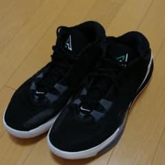 NIKE ZOOM FREAK 1　27.5㎝のサムネイル
