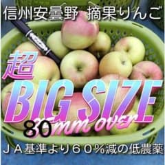 Esanok様専用 摘果りんご 特大 約10キロ 送料無料地域限定 174 - メルカリ