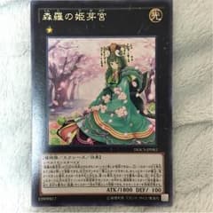 神羅の姫芽宮のサムネイル
