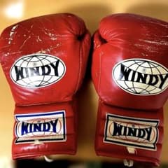 ヤ*ウ様 WINDY ボクシンググローブ 14 oz レッドのサムネイル
