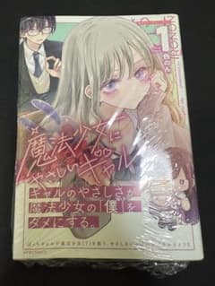 魔法少女にやさしいギャル　未開封のサムネイル