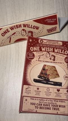災愛 Obsession one wish willowのサムネイル