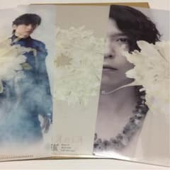 KinKi Kids 道は手ずから夢の花 クリアファイルのサムネイル