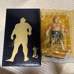 相撲フィギュア 貴乃花 鬼の形相 - メルカリ