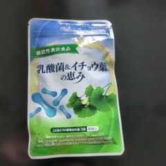 乳酸菌 & イチョウ葉の恵み 60粒のサムネイル