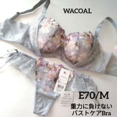 新品】ワコール《重力に負けないバストケアBra》E70/M - メルカリ