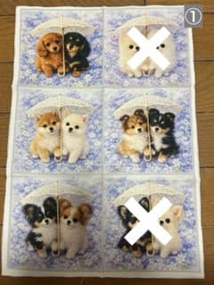 5/17 わんちゃんパネル① - メルカリ