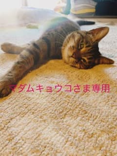 ウィッグのサムネイル