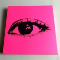 Y―1427『Book Sheena Ringo 』【完全限定生産】椎名林檎 - メルカリ