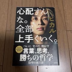 ヒカル　心配すんな。全部上手くいく。のサムネイル