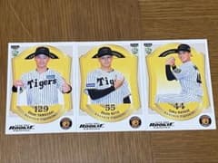 2026 BBM ルーキーエディション 阪神タイガース 早瀬、能登、山﨑
