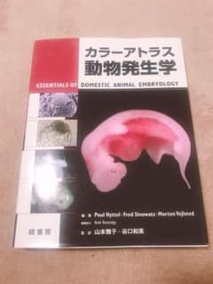 カラーアトラス動物発生学のサムネイル