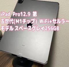 即日発送！】iPadPro12.9第五世代 Cellularモデル 256GB - メルカリ