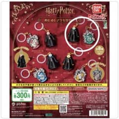 ハリー・ポッター めじるしアクセサリー ガチャのサムネイル