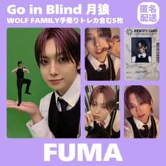 &TEAM FUMA 月狼 手乗り トレカ まとめ売り WOLF FAMILY - メルカリ