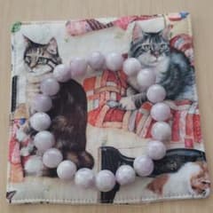 ミルキークンツァイトのサムネイル
