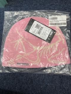 ARC'TERYX Bird Head Toque Pineberry ピンク - メルカリ