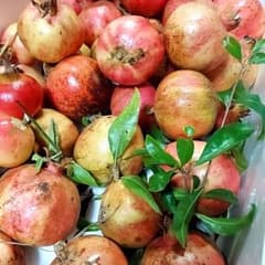 ザクロです★グレナデンシロップ等にものサムネイル