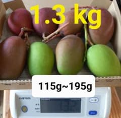 マンゴー+摘果/1.3 kg including box/コンビニ/ATM ❌️ - メルカリ