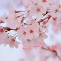 ちんすこう様 専用ページのサムネイル