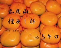 和歌山県 九度山産 たねなし柿 5kgのサムネイル