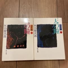 天の瞳 幼年編 I II 灰谷健次郎 角川文庫のサムネイル