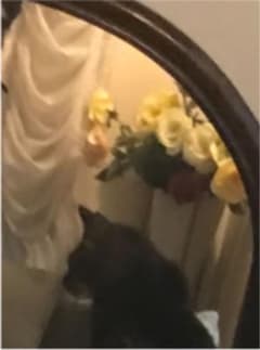 ちゅうちゃん様専用のサムネイル