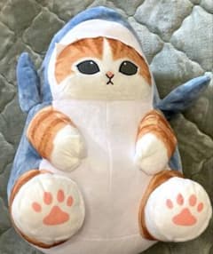 モフサンド　サメにゃん　巨大ぬいぐるみ☆