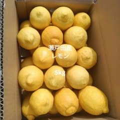 農家直送 瀬戸田レモン 5kg - メルカリ