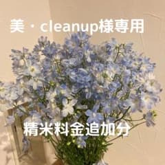 【美・cleanup】様専用商品　精米追加分のサムネイル