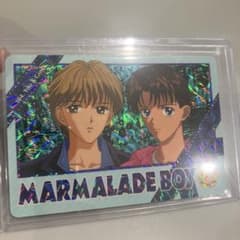 ママレード・ボーイ カードダス 104 You & Ginta 1995のサムネイル