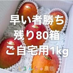 【訳あり】宮古島産アップルマンゴー1kg（ご自宅用）のサムネイル