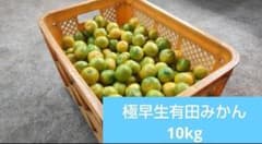 極早生有田みかん 小玉 2S3S混合 10kgのサムネイル