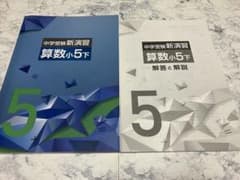 【最新版・新品・未使用】中学受験新演習　小５上下　算数　２冊セット 中学受験新演習 算数小5 上下セット - メルカリ