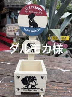 ダルモカ様　多肉植物寄せ植え用　YK-6 変更有り ダルモカ様 多肉植物寄せ植え用 YK-6 変更有り - メルカリ