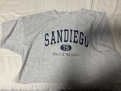 INGNI SANDIEGO 75 クロップドTシャツのサムネイル