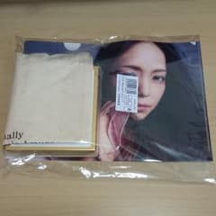 【未開封品】安室奈美恵 Finally CD+ファイル+トートのサムネイル