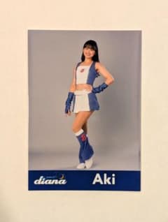 横浜DeNAベイスターズ diana Aki ブラインド フォト vol.3 - メルカリ