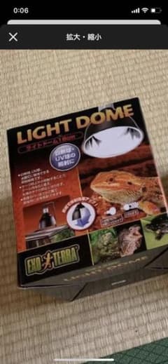 ライトドームのサムネイル