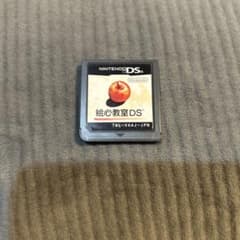 動作確認済み 絵心教室DS - メルカリ